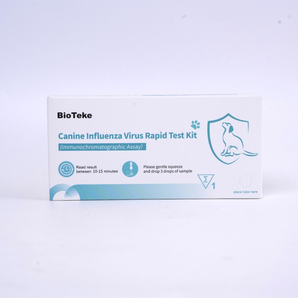 canine flu test